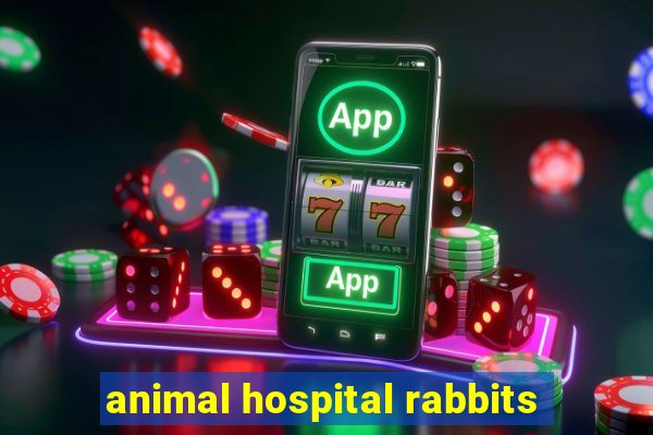 animal hospital rabbits